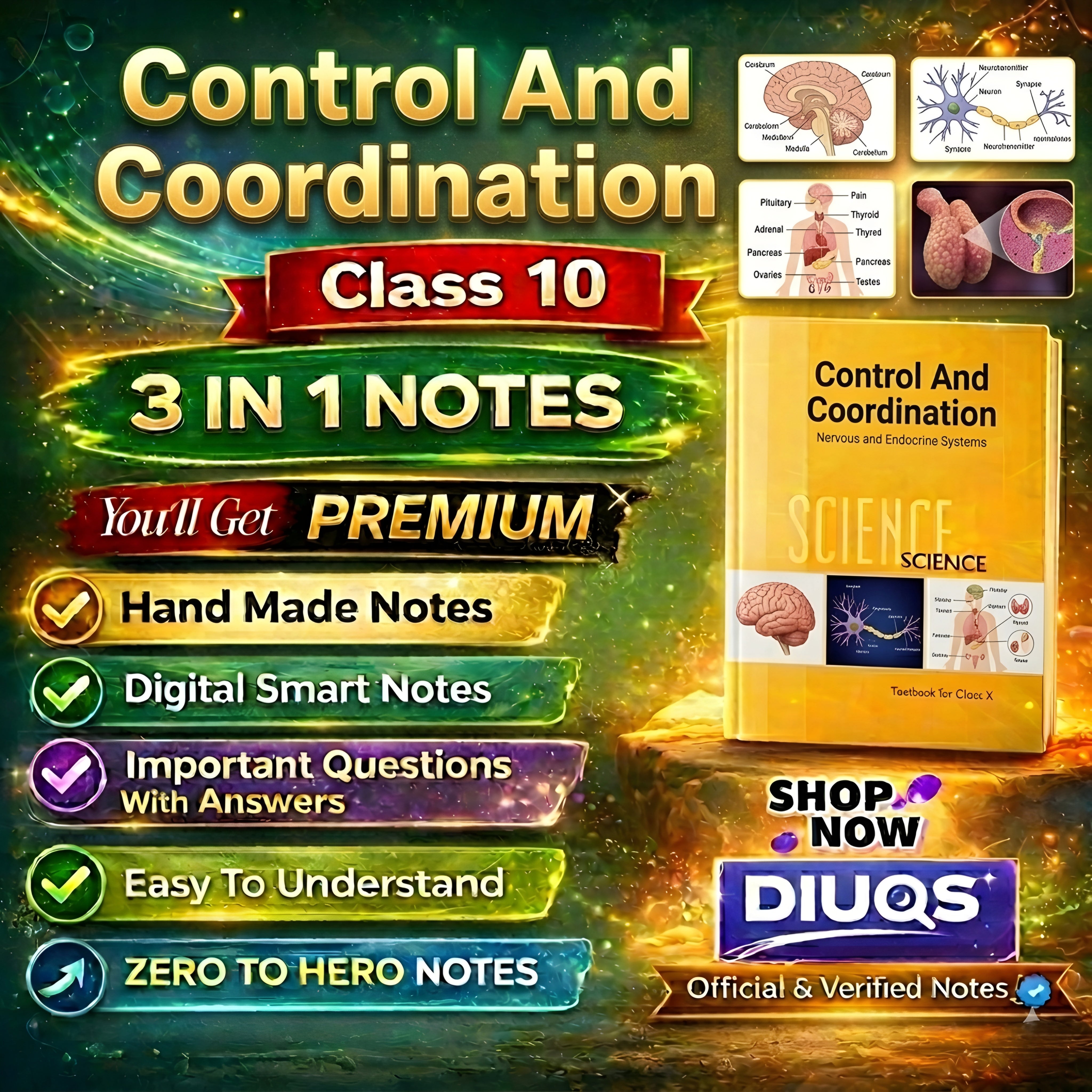 Premium Control & Coordination (3 IN 1 NOTES) Class 10th